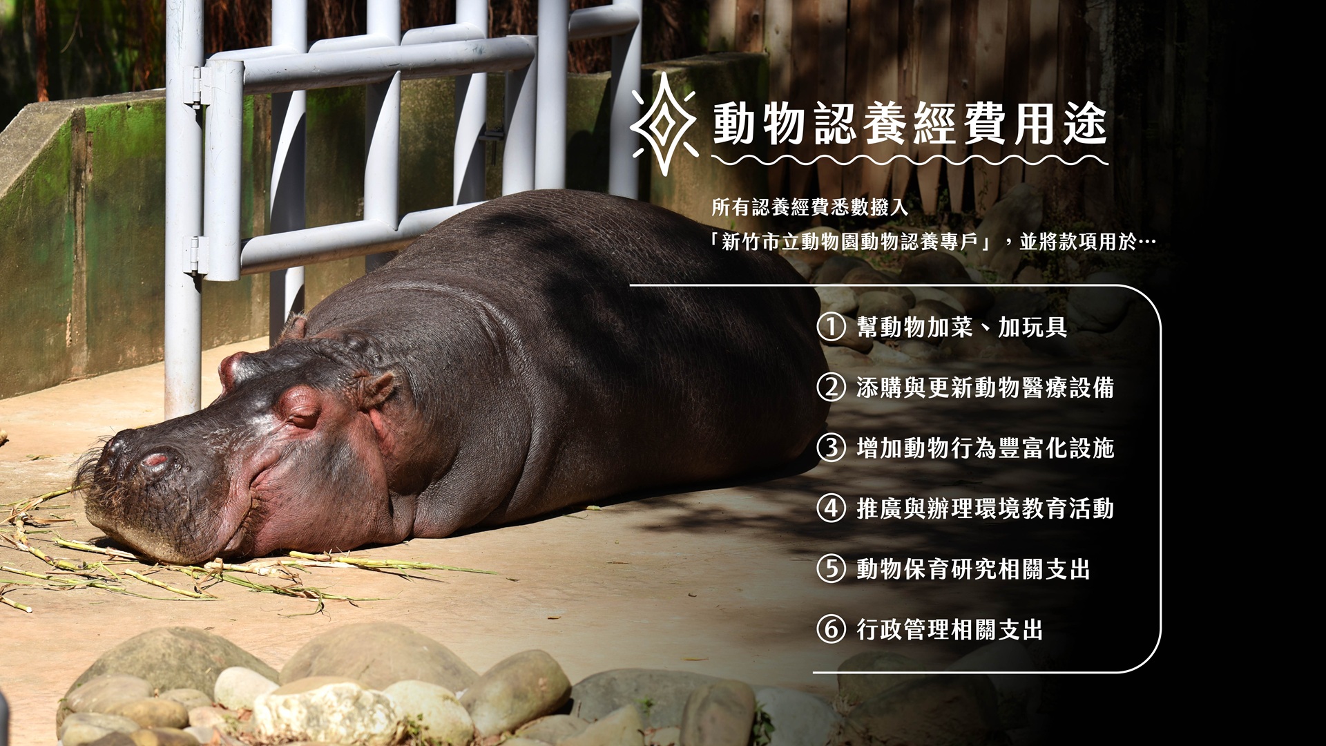 動物認養經費用途