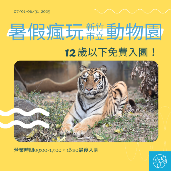2025暑假優惠