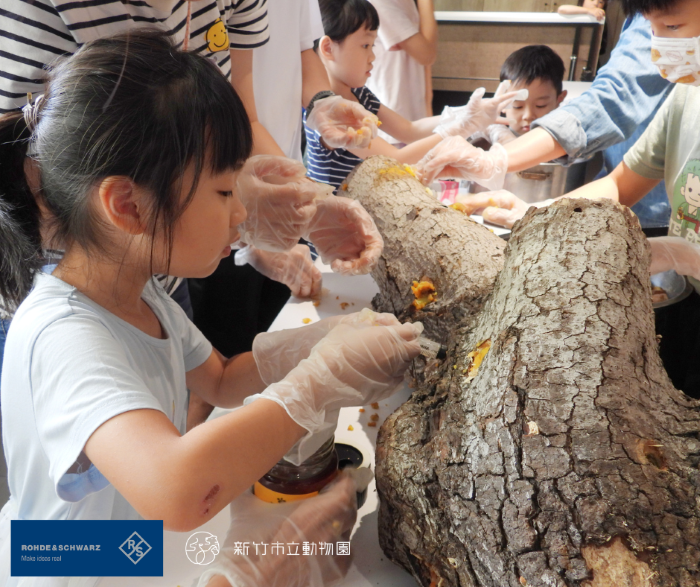 台灣羅德史瓦茲公司員工及眷屬學習動物行為豐富化知識並動手製作老虎、紅毛猩猩、馬來熊及狐獴的專屬玩具