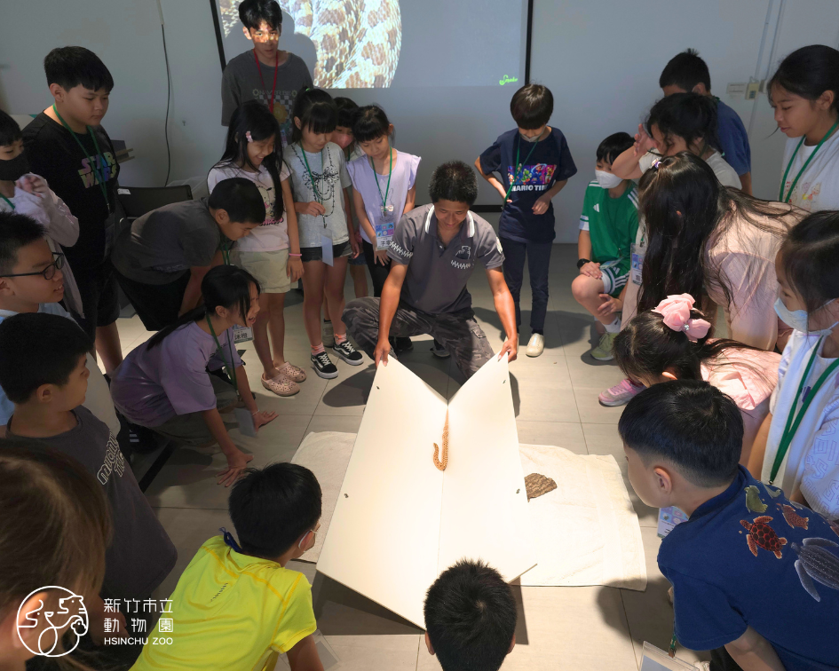 2026夏令營-小小獸醫體驗營