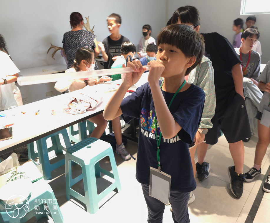 2026夏令營-小小獸醫體驗營
