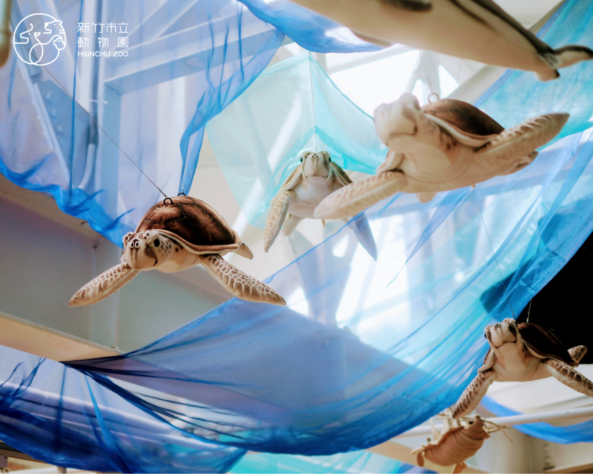 抬頭就是海洋世界,魟魚、海豚悠遊天花板