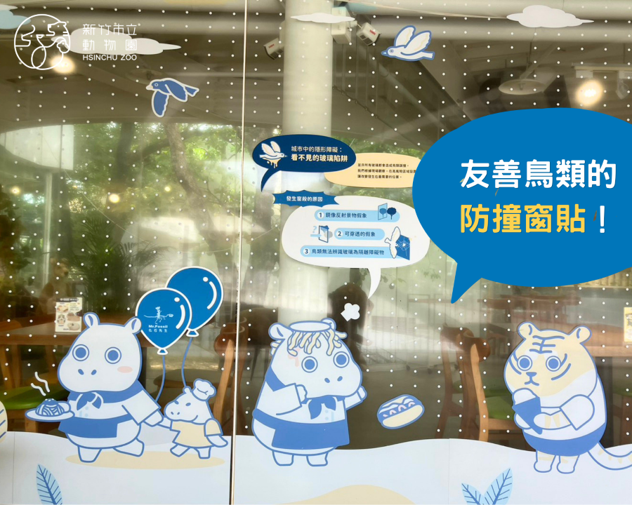 友善鳥類的窗貼