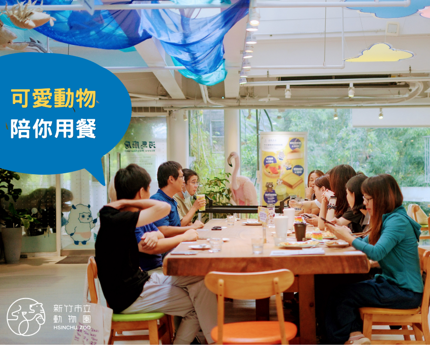 可愛動物陪你用餐